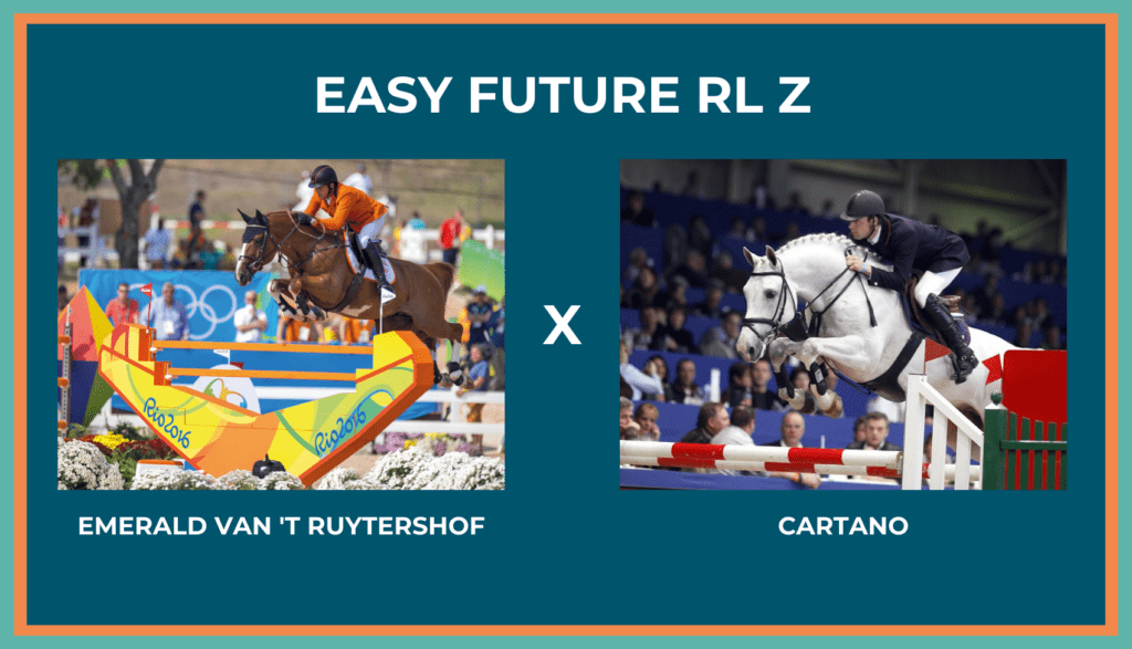 Easy Future RL Z